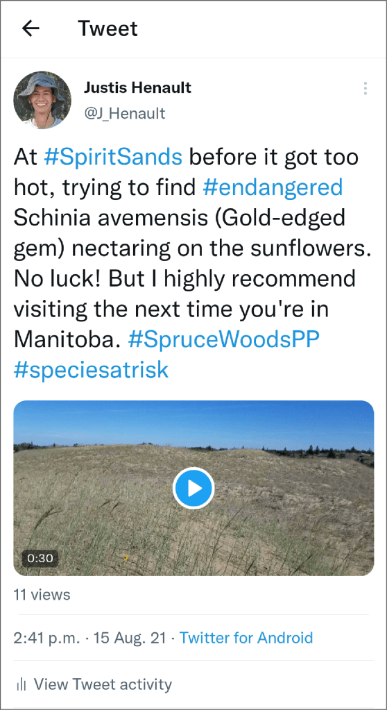Example knowledge mobilisation, Spirit Sands, endangered, Schinia avemensis, Manitoba, Henault.