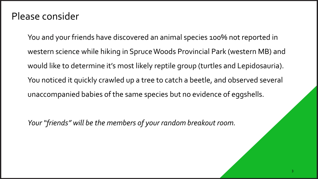 Higher education teaching example slide, Henault